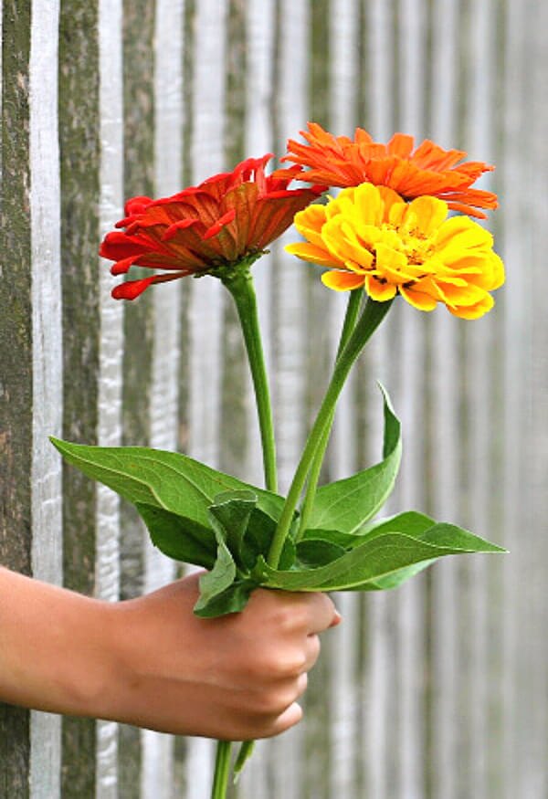 Discount flowers image