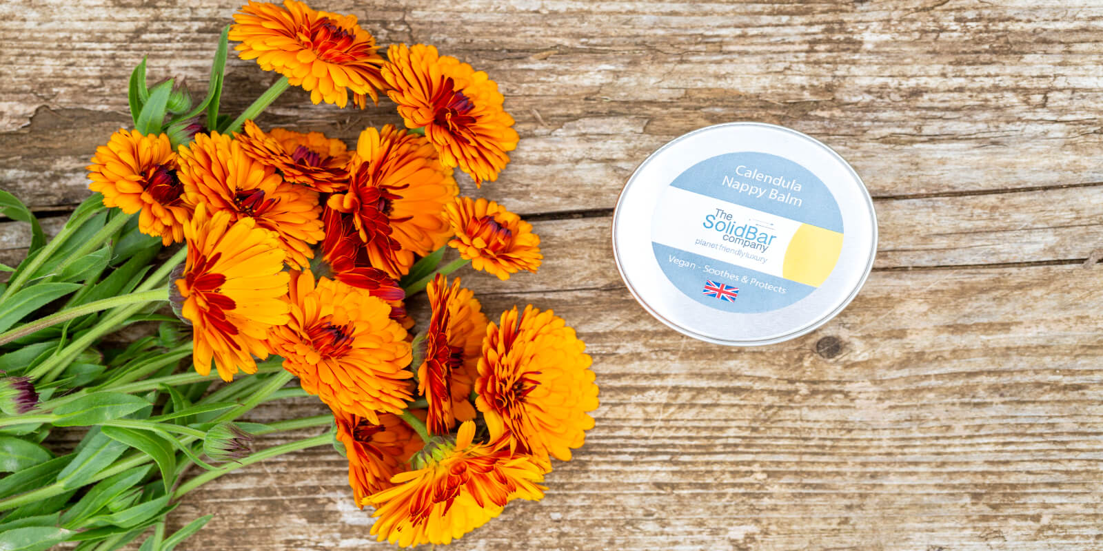 Diaper balm image for Balm Care Collection