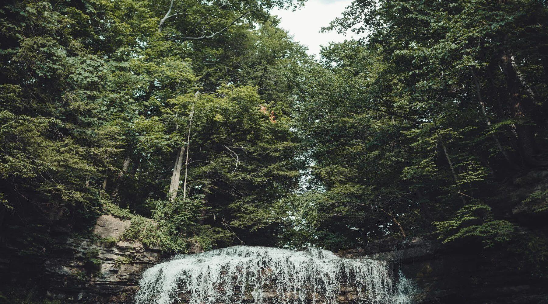 Waterfall in dense forest