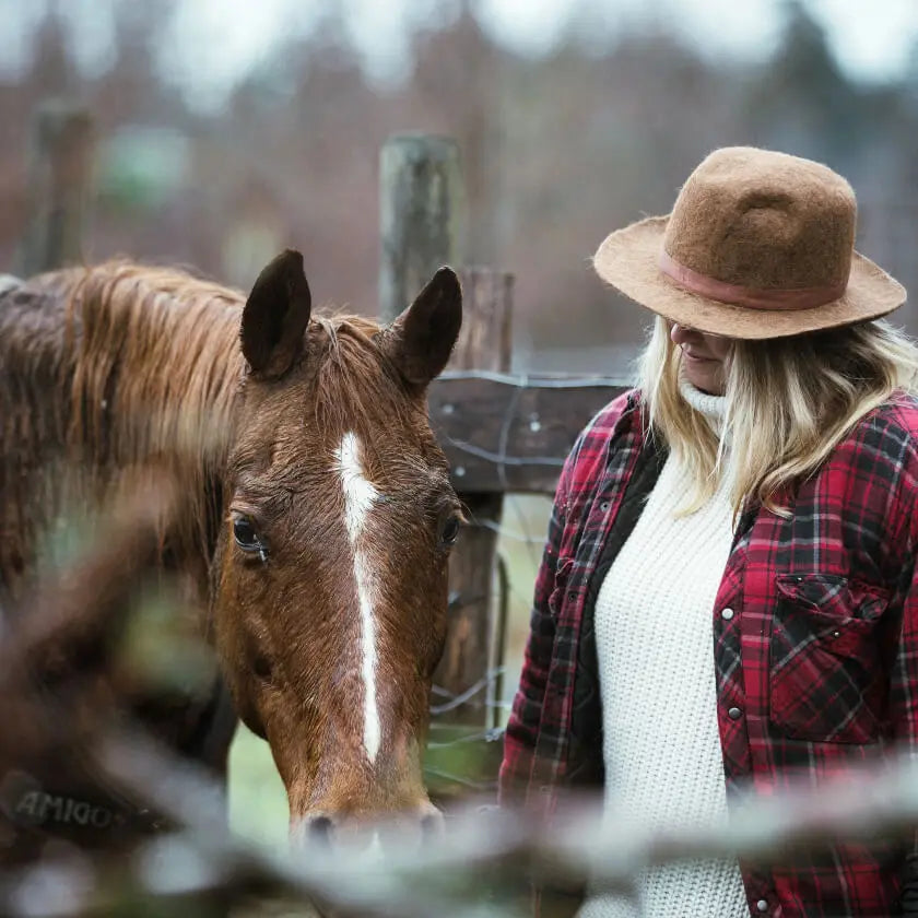 Browse Our Horse Care Collection Here