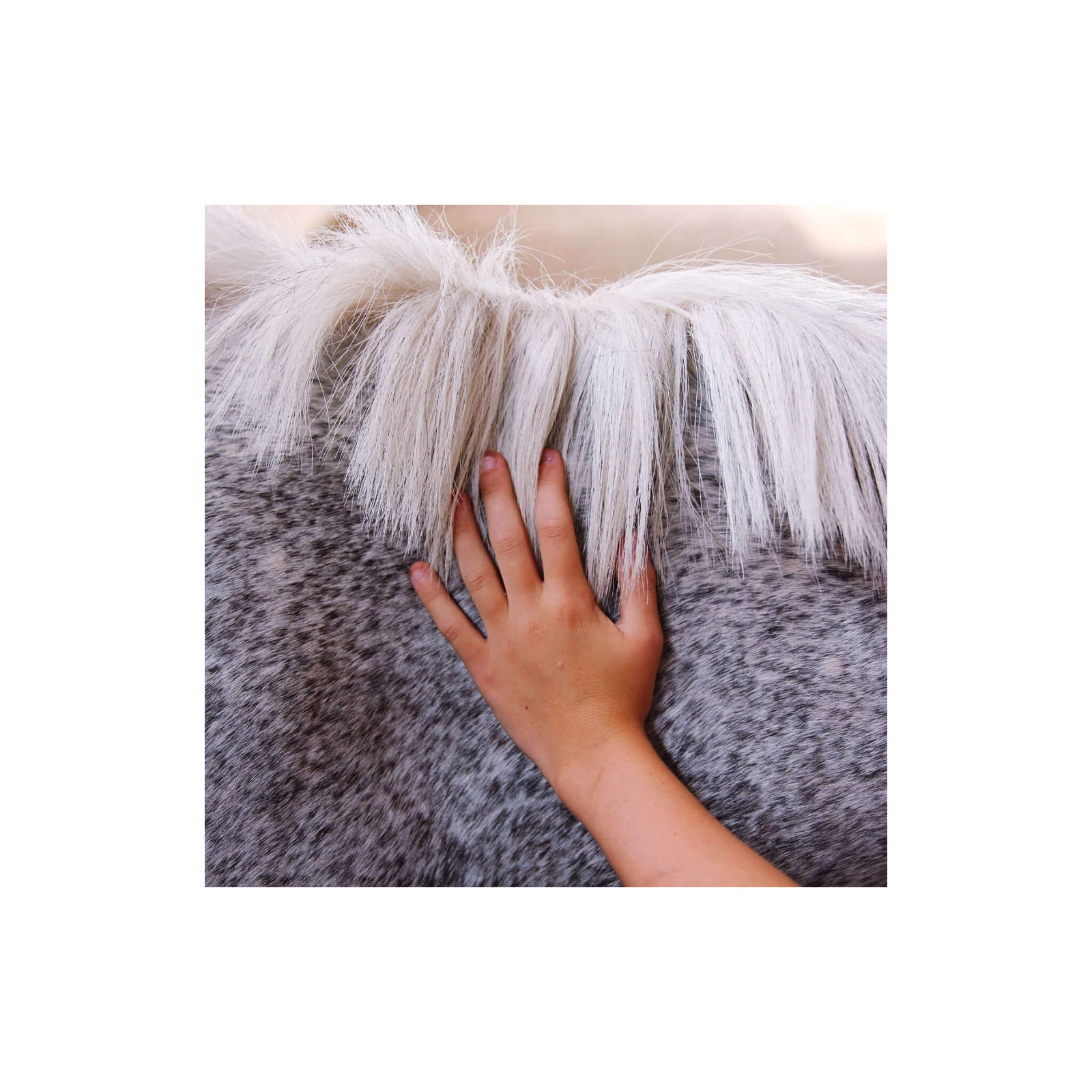 Hand petting a horse's white mane