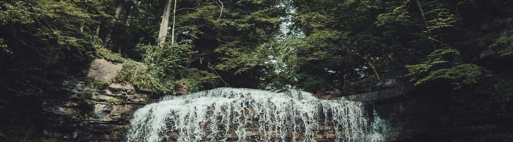 Mountain stream in a forest